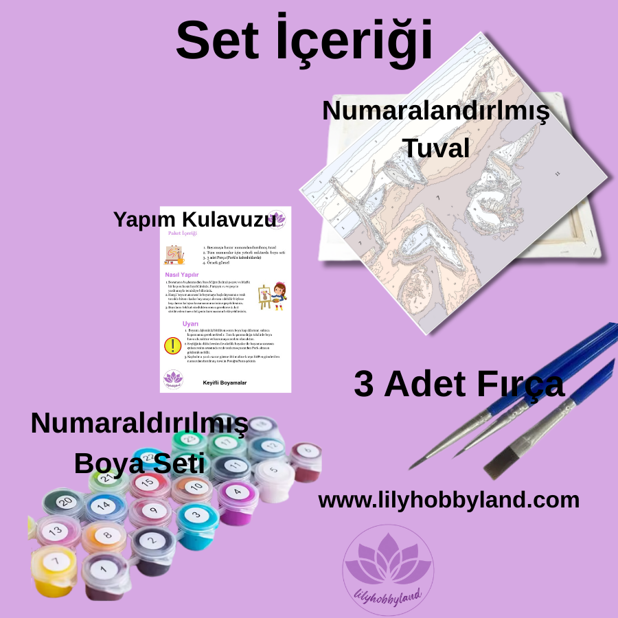 Sayılarla Boyama Hobi Seti 50x65 cm -Filim Tabloları