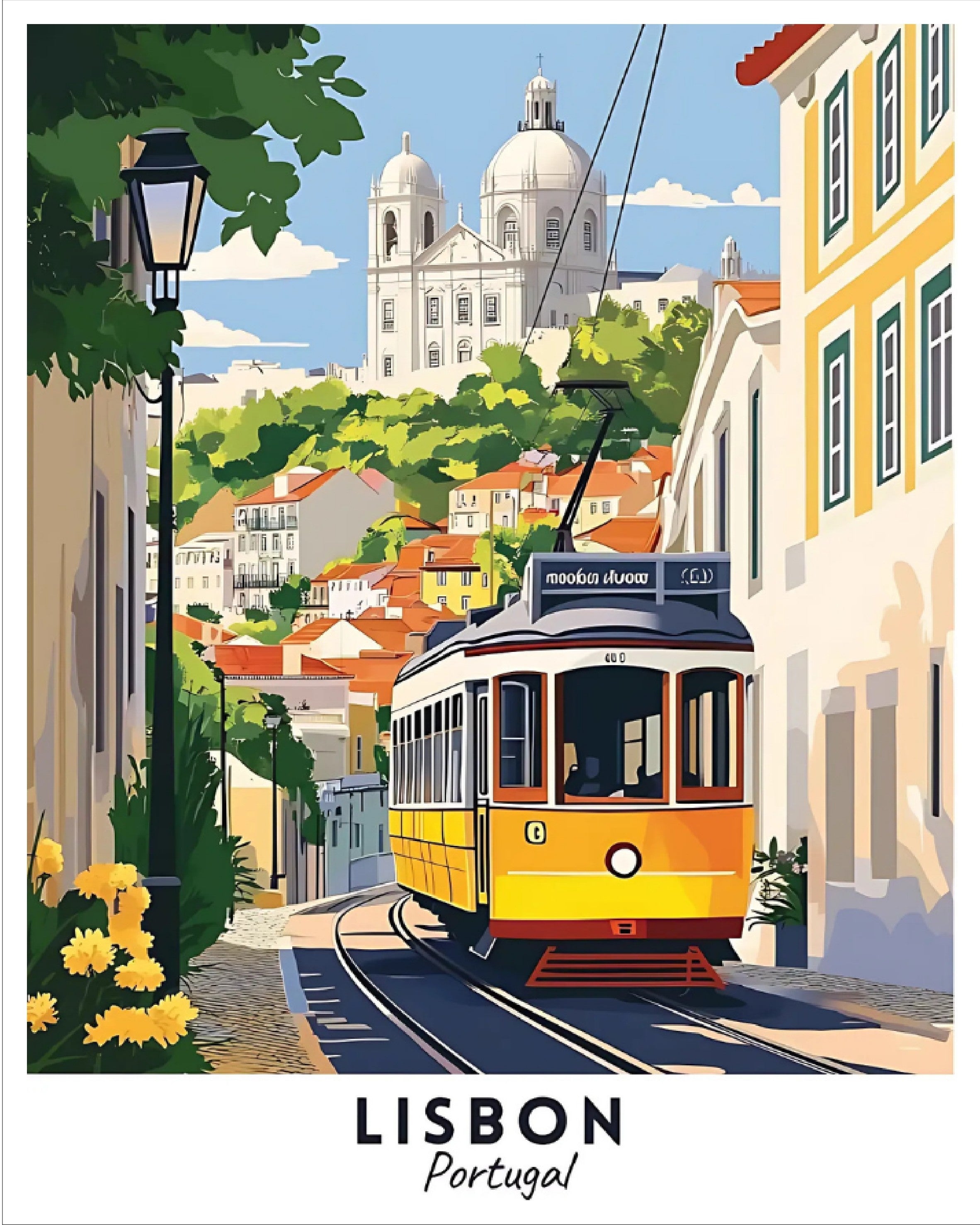 Sayılarla Boyama Hobi Seti 40x50 cm -Başkentler Serisi